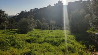 Terreno em Coimbra · 1369 m² · 86 500 €