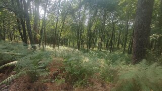 Terreno · 3505 m² · 15 000 €