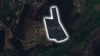 Land for sale in Castelo de Paiva, Portugal — €60,000