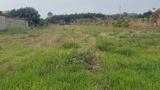 Land for sale in Oliveira do Bairro, Portugal — €70,000