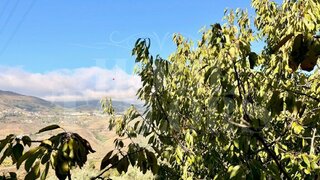 Land for sale in Resende, Portugal — €60,000