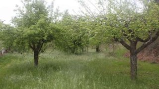 Land for sale in Arganil, Portugal — €135,000