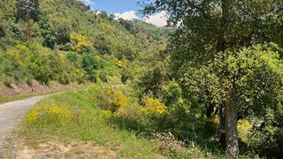 Land for sale in Baião, Portugal — €45,000