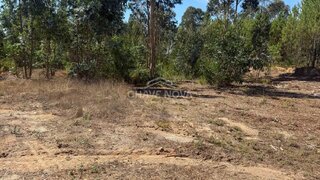 Land for sale in Oliveira do Bairro, Portugal — €50,000