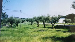 Land for sale in Oliveira do Hospital, Portugal — €12,000