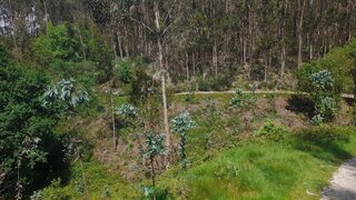 Land for sale in Póvoa de Lanhoso, Portugal — €10,000