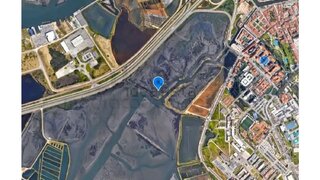 Terreno de 27 000 m² em Aveiro