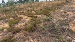 Land for sale in Oliveira do Bairro, Portugal — €40,000