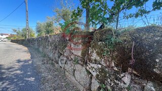 Land for sale in Tábua, Portugal — €120,000