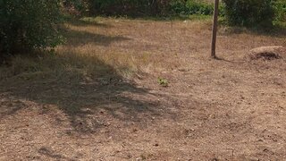 Land for sale in Miranda do Corvo, Portugal — €185,000