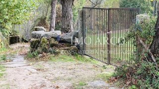 Land for sale in Cabeceiras de Basto, Portugal — €55,000