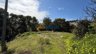 Land for sale in Amarante, Portugal — €40,000