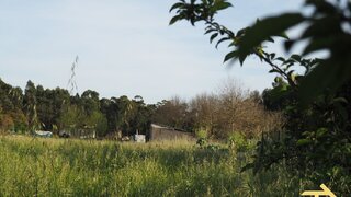 Land for sale in Oliveira do Bairro, Portugal — €42,500