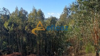 Land for sale in Penafiel, Portugal — €45,000