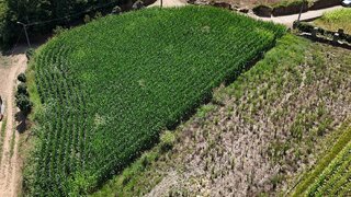 Land for sale in Oliveira de Azeméis, Portugal — €60,000