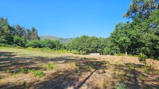 Land for sale in Celorico de Basto, Portugal — €50,000