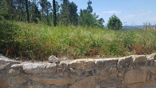 Land for sale in Barcelos, Portugal — €51,500