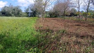 Terreno em Condeixa-a-Nova