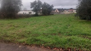Land for sale in Anadia, Portugal — €32,500