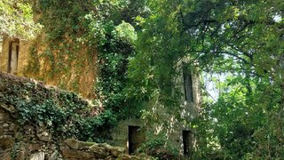 Land for sale in Sever do Vouga, Portugal — €89,000