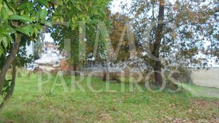 Land for sale in Anadia, Portugal — €30,500