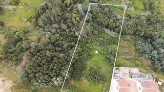 Terreno de 4998 m² em Coimbra