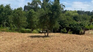 Terreno em Oliveira do Bairro