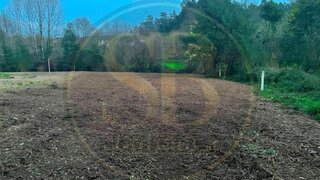 Terreno em Oliveira de Azeméis