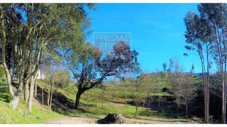 Land for sale in Oliveira de Azeméis, Portugal — €65,000