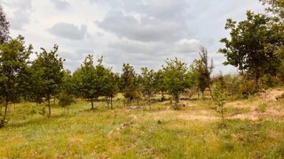 Land for sale in Oliveira do Hospital, Portugal — €35,000