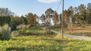Land for sale in Miranda do Corvo, Portugal — €13,000