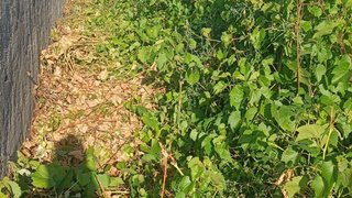 Land for sale in Maia, Portugal — €134,000