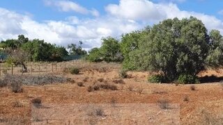Terreno de 9440 m² em Faro