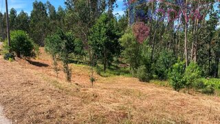 Land for sale in Pedrógão Grande, Portugal — €90,000