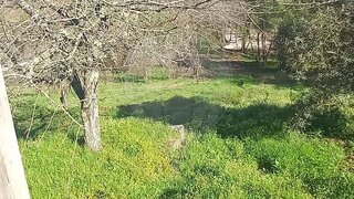 Land for sale in Pombal, Portugal — €25,000
