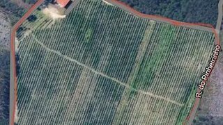 Land for sale in Alcobaça, Portugal — €650,000