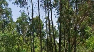 Terreno · 160 m² · 700 €