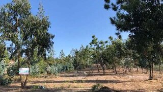Terreno para venda em Marinha Grande, Portugal — 150 000 €