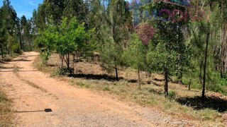 Land for sale in Pedrógão Grande, Portugal — €72,000