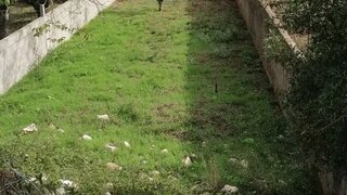 Land for sale in Porto de Mós, Portugal — €15,000