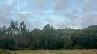 Land for sale in Pombal, Portugal — €3,500