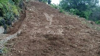 Land for sale in Marinha Grande, Portugal — €45,000