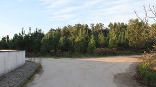 Terreno de 5600 m² em Leiria