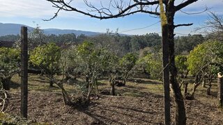 Land for sale in Figueiró dos Vinhos, Portugal — €197,000