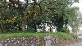 Land for sale in Batalha, Portugal — €20,000