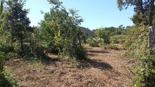 Terreno em Leiria · 1000 m² · 46 000 €