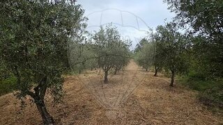 Land for sale in Pombal, Portugal — €12,500