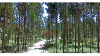 Land for sale in Batalha, Portugal — €40,000