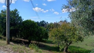 Land for sale in Pombal, Portugal — €35,000