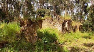 Land for sale in Óbidos, Portugal — €155,000